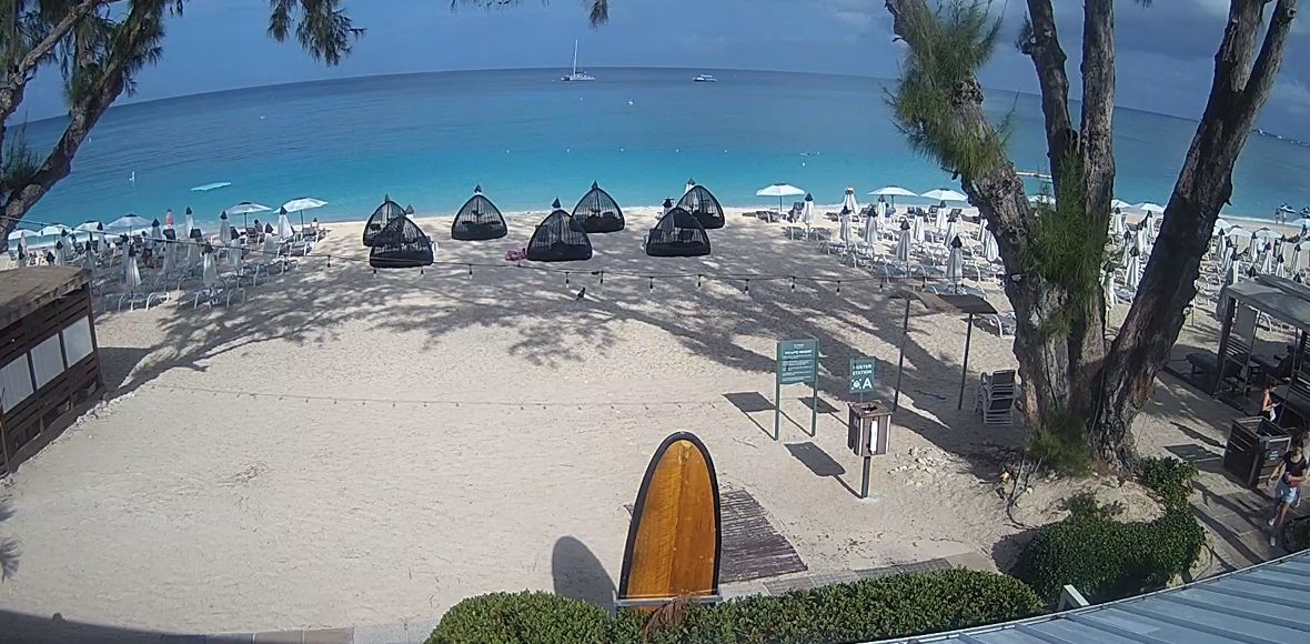 Отель The Westin Grand Cayman Seven Mile Beach, Пляж